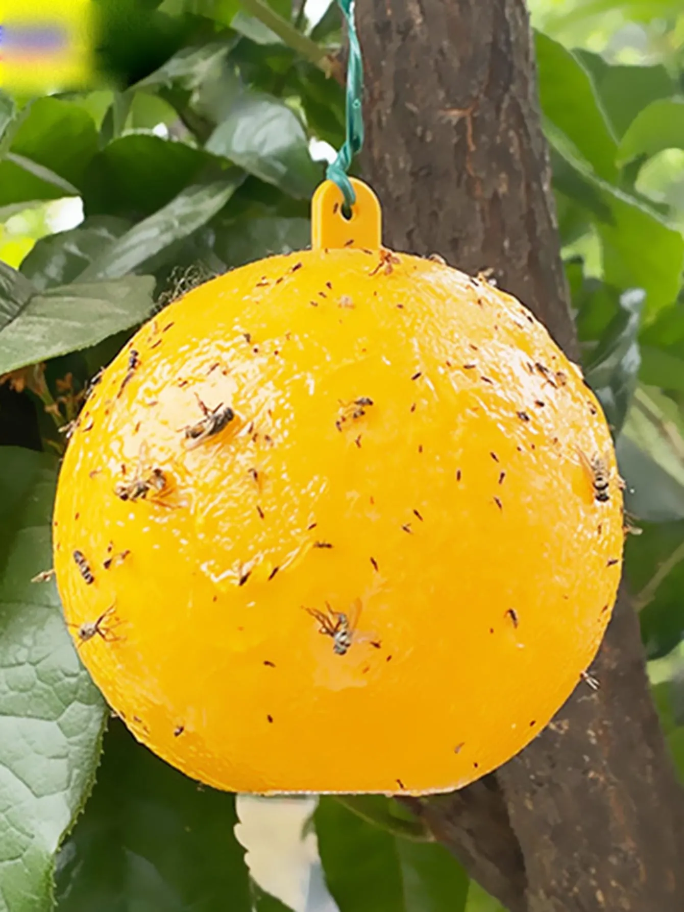 1pc Insect Sticky Ball