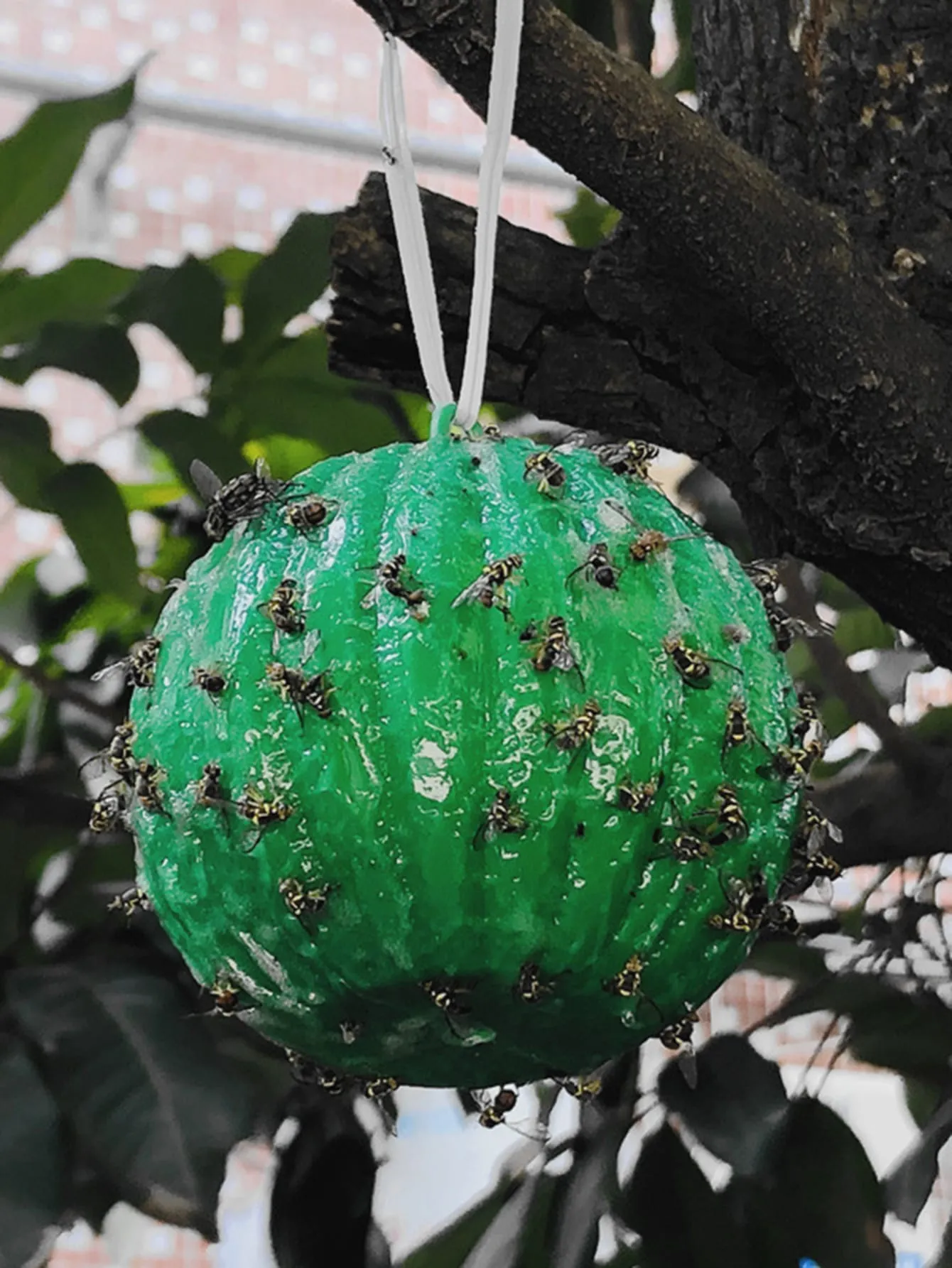 1pc Insect Sticky Ball