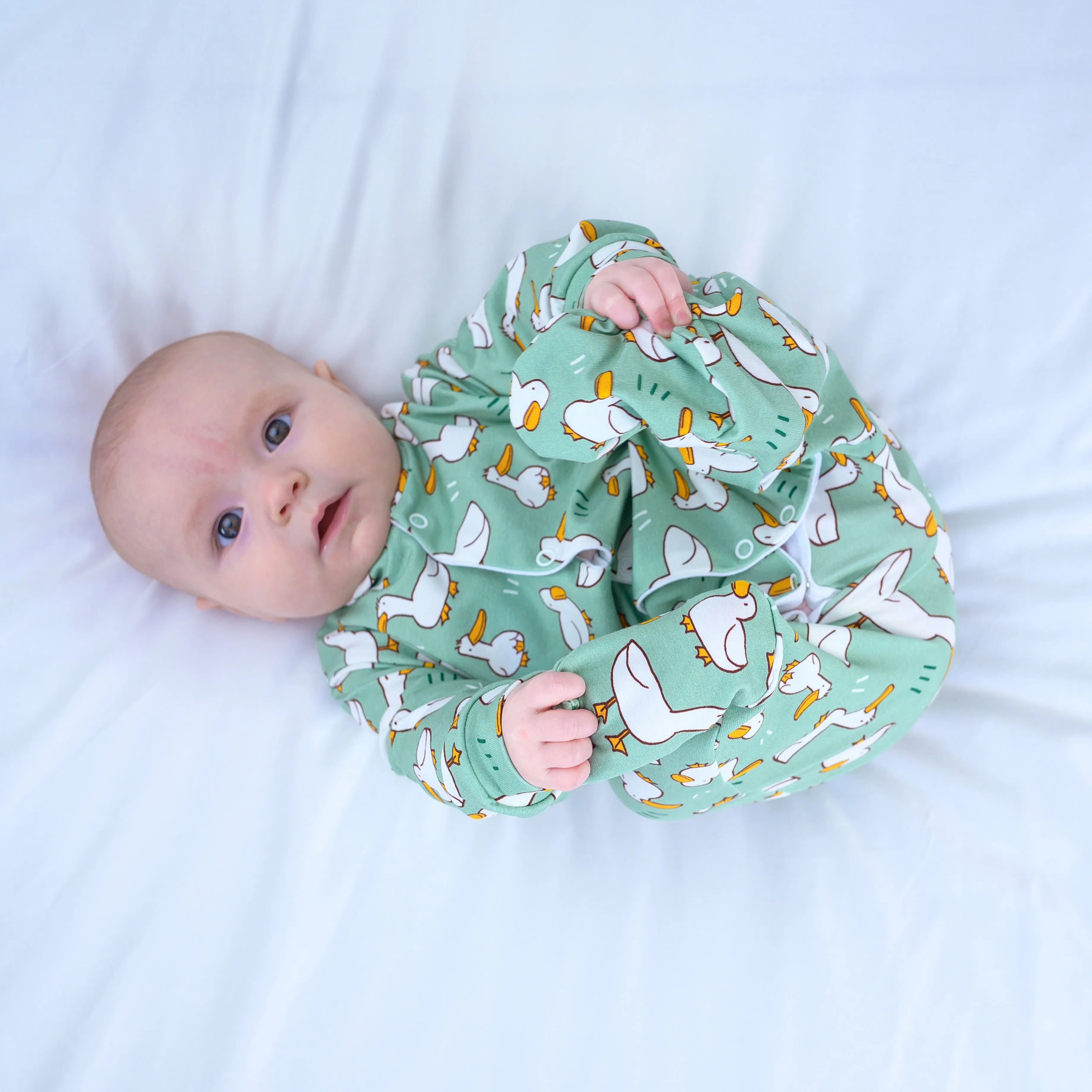 Dancing ducks cotton sleepsuit