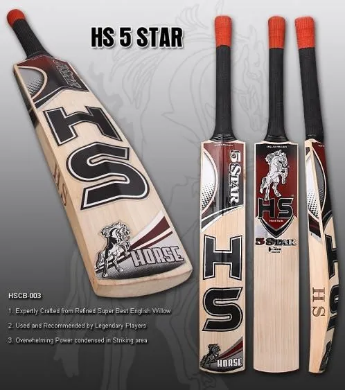 HS 5-Star English Willow Cricket Bat