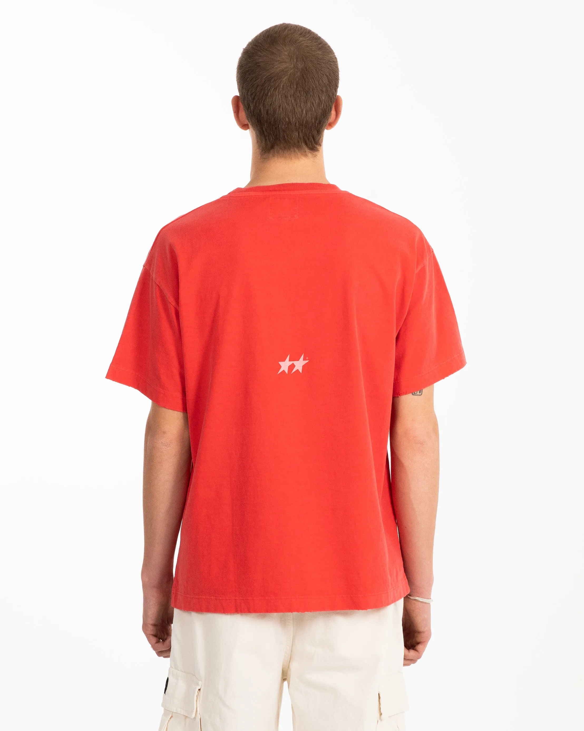 Icon Washed Red T-Shirt