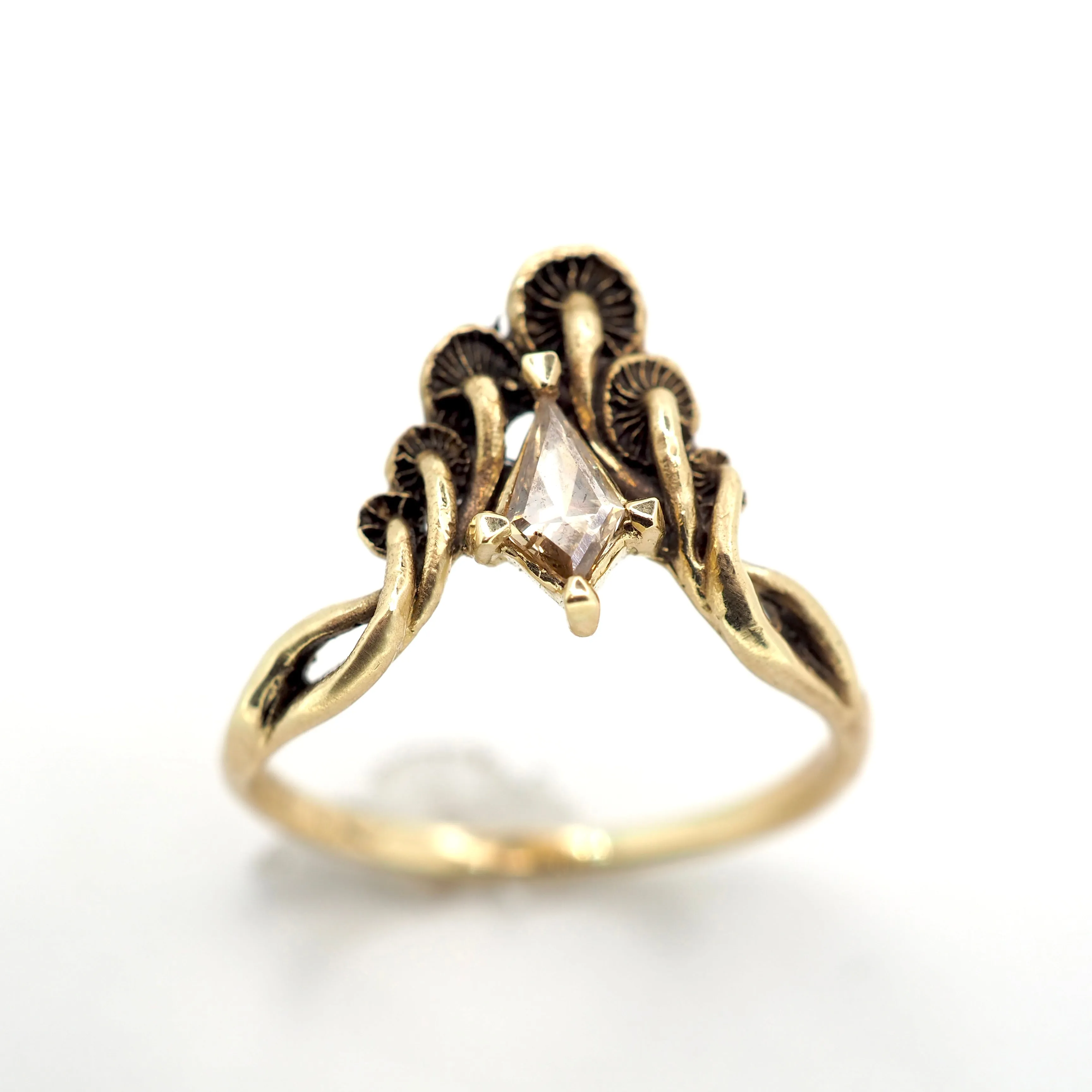 Mushroom peak ring