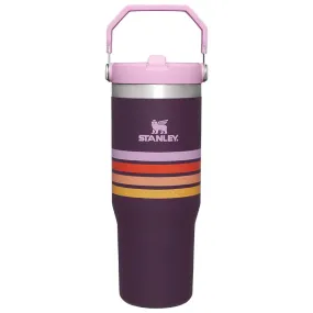 The 30oz IceFlow Flip Straw Tumbler in Plum Stripe